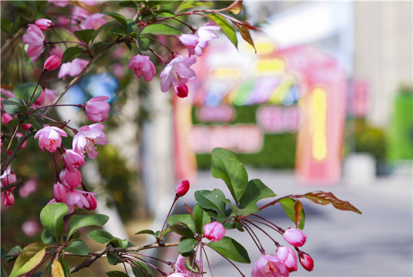 春暖花開，等你歸來(lái)——邀你云賞南新春景，以慰思念