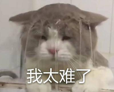 勁爆！新華電腦教育服務(wù)旗艦店正式入駐天貓，課程1折秒殺！